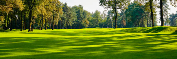 fairway auf einem golfplatz im sommer an einem sonnigen tag. im hintergrund golfer auf dem grün, um den ball einzustecken. - golf green practicing sports training stock-fotos und bilder