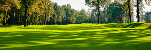 Fairway at a golf course in the summer on a sunny day. In the background golfers on the green to pocket the ball. Fairway at a golf course in the summer on a sunny day. In the background golfers on the green to pocket the ball. taking a shot sport photos stock pictures, royalty-free photos & images