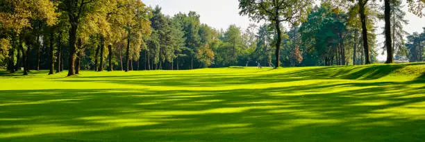 Photo of Fairway at a golf course in the summer on a sunny day. In the background golfers on the green to pocket the ball.