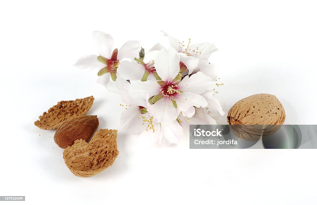 Almond flower Still Life with almond flowers Almond Stock Photo