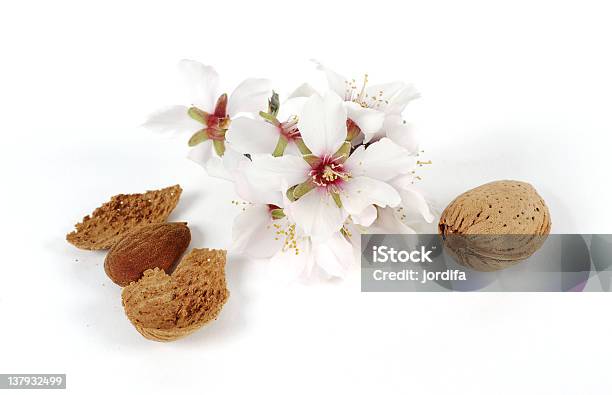 Almond Flower Stock Photo - Download Image Now - Almond, Cut Out, Flower