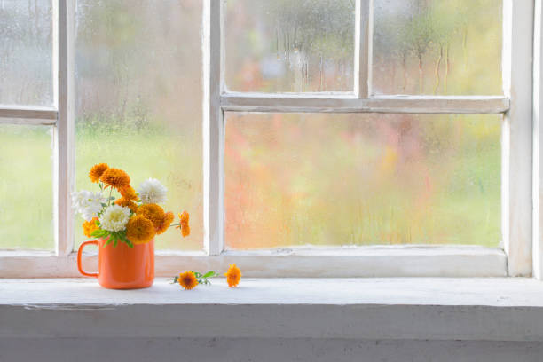 istock autumn flowers in orange cup on old white windowsill 1379328391