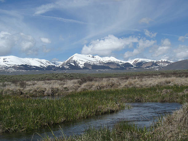 Remote Trout Stream in Montana stock photo