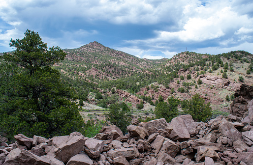 A pile of rocks and a green tree lead the eye to the mountain peak in the clouds on a beautiful day in Colorado.
