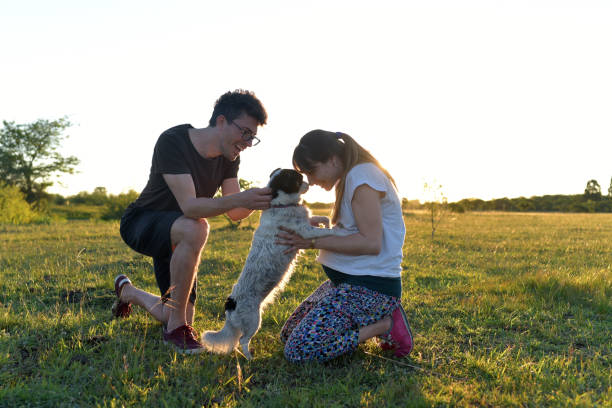 istock couple at sunset with their dog 1379367583