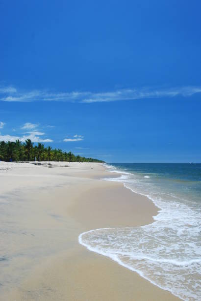 istock Marari Beach Kerala Deserted 1379370200