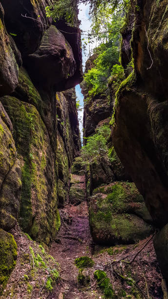 istock Mossy rocky passage on a forest path, Saxony, Germany 1379384219