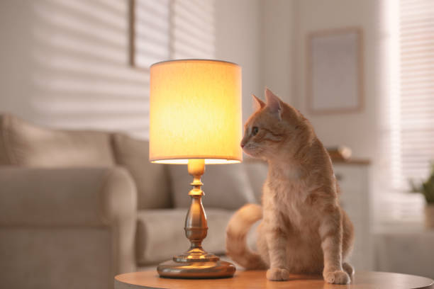 istock Cute cat sitting on table near lamp at home 1379384350