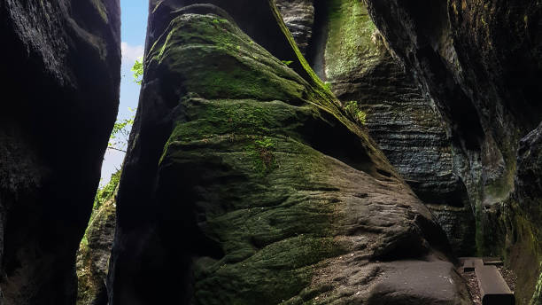 istock Wooden path through damp mossy cliffs, Saxony, Germany 1379390473