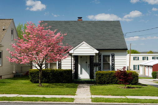 Casa con jardín verde y rosa árbol photo