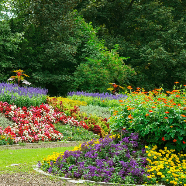 istock Lush flowerbeds in the summer garden. 1379393950