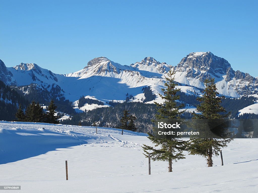 Bäume im Schnee - Lizenzfrei Alpen Stock-Foto