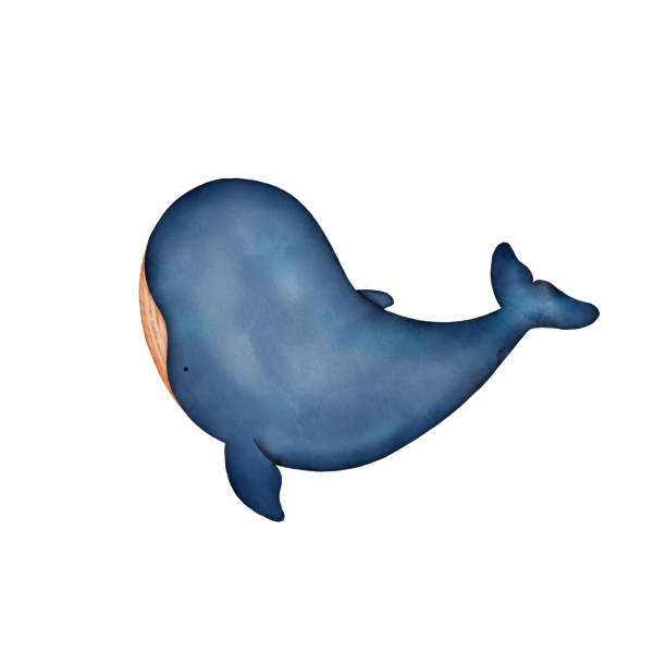 istock Watercolor cute cartoon whale isolated on white 1379426622