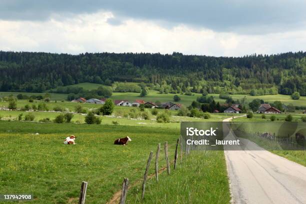 Krajobraz W Franche Comté - zdjęcia stockowe i więcej obrazów Francja - Francja, Franche-Comté, Krajobraz wiejski