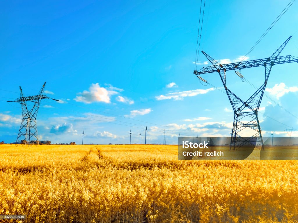 Elektrický sloup v pozadí řepkového pole - Bez autorských poplatků Výroba paliv a elektřiny Stock fotka Elektrický sloup v pozadí řepkového pole - Bez autorských poplatků Výroba paliv a elektřiny Stock fotka