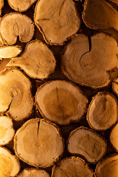 istock Structure of a tree in a section. Close-up. Side light accentuates the texture. warm yellow light in the sauna 1379454597