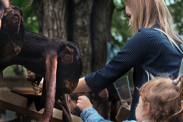 family on a walk in the zoo