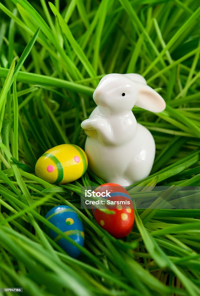 Ostern Hase und Eier - Lizenzfrei Ei Stock-Foto