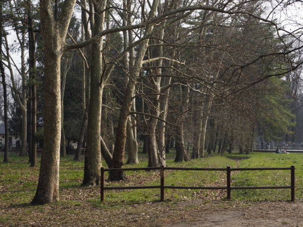 istock park in the morning 1379476567