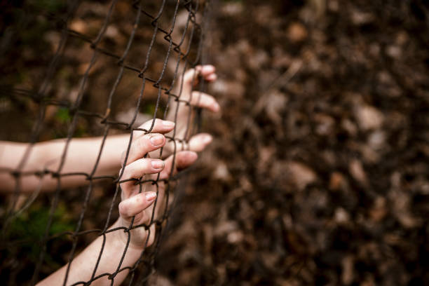 istock Let me out of here! 1379509320