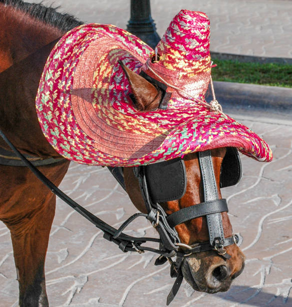 Mexican Sombrero