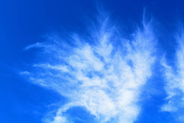 Beautiful white cirrus clouds. Background. Landscape.