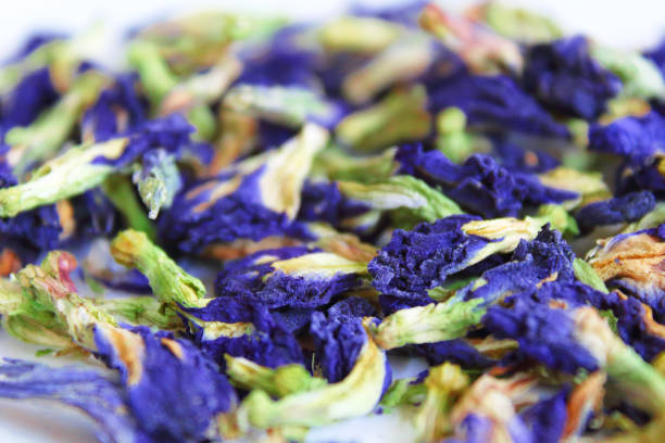 Anchan. Blue tea. Dried flowers of clitoria are ternate. Close-up. Background. Texture. Anchan. Blue tea. Dried flowers of clitoria are ternate. Close-up. Background. Texture. ternate stock pictures, royalty-free photos & images