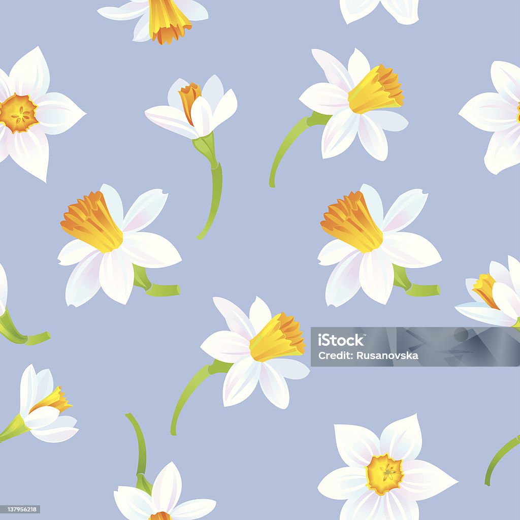 White Daffodils Pattern White Daffodils on blue background. Vector seamless pattern. Daffodil stock vector