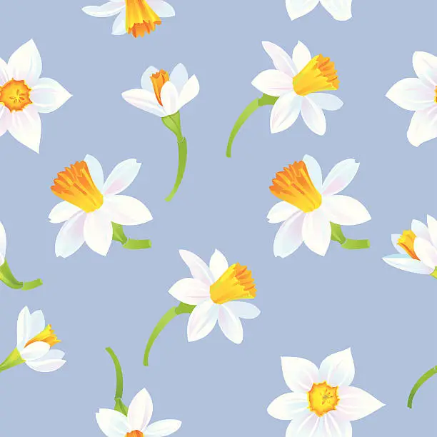 Vector illustration of White Daffodils Pattern