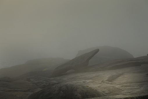 Stones of Costa da Morte, hidden in the fog and looking like an alien landscape.
