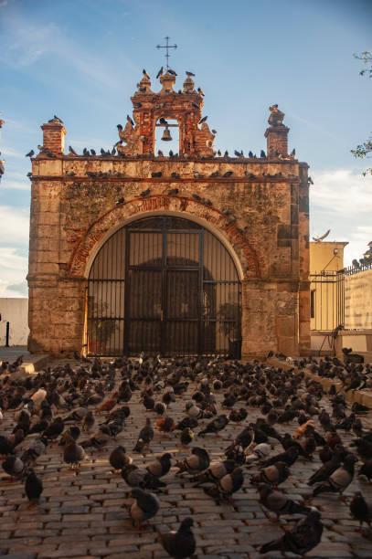 Cobblestone and numerous pigeons visiting the Capilla del Santo Cristo de la Salud in San Juan, Puerto Rico. stock photo