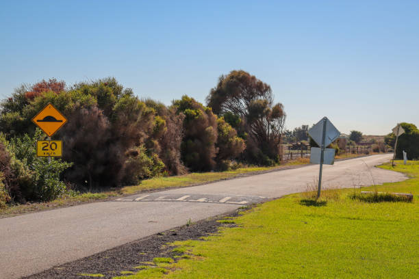 istock country road with speed hump sign 1379606152