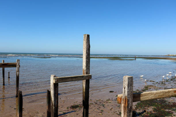 istock dilapidated old pier in ocean 1379624314