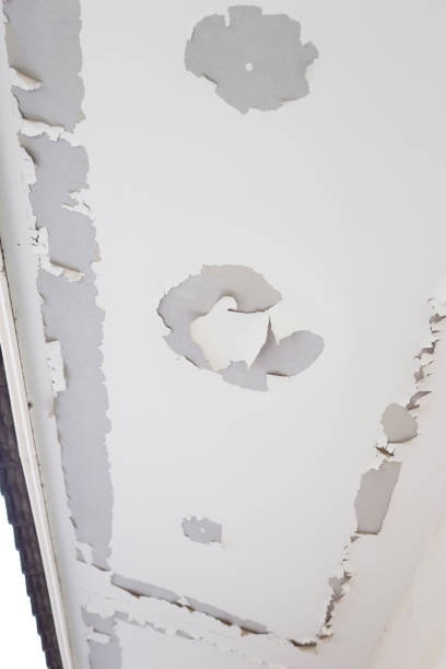 istock White color paint peeling off on ceiling house. Under the roof 1379644702