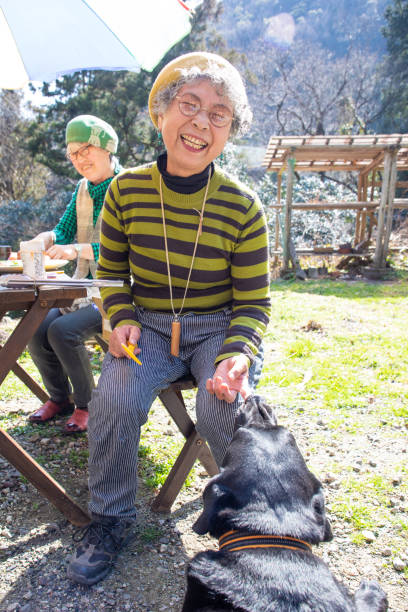 Senior Japanese woman giving dog a treat at BBQ Senior Japanese ladies enjoy a BBQ and giving some food to a dog. dog disruptagingcollection stock pictures, royalty-free photos & images