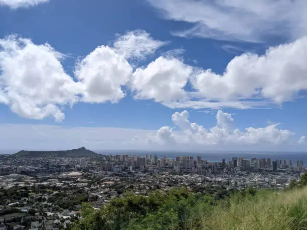 The city of Honolulu from Diamond head Waikiki to Manoa with Kaimuki, Kahala, and oceanscape visible on Oahu on a nice day at viewed from high in the mountains with tall trees in the foreground.