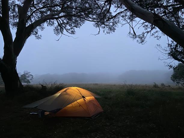 istock Hiking tent with light on foggy night 1379781957