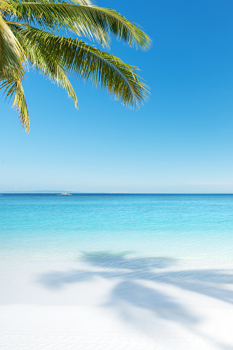 Tropical paradise beach scene for background or wallpaper
