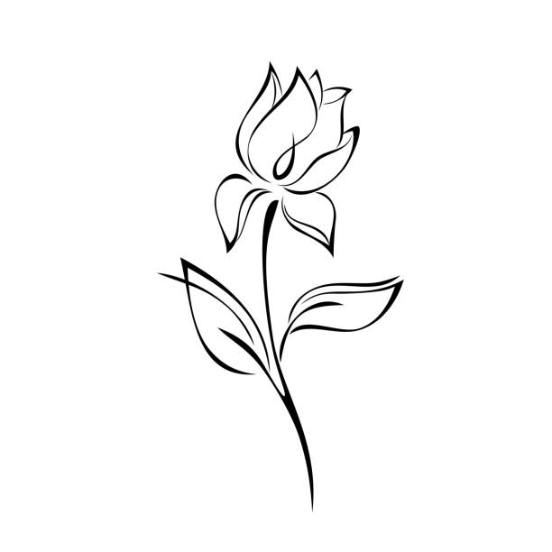 illustrations, cliparts, dessins animés et icônes de ornement 2242 - rose single flower flower stem