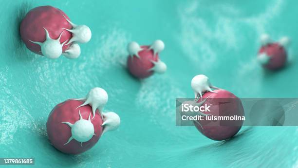 Tcells Attacking Cancer Cells Stock Photo - Download Image Now - Cancer Cell, Cancer - Illness, Antibody