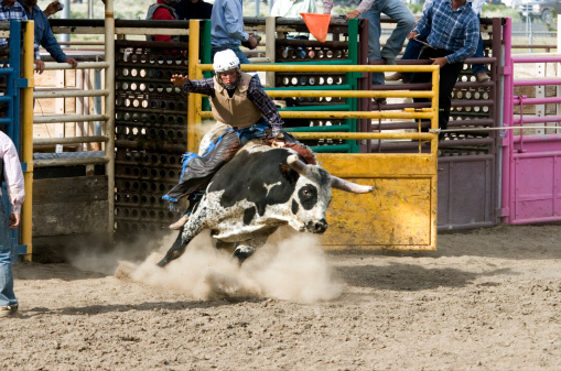 High school rodeo boy rides a bucking bull.