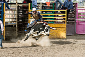 Rodeo Photo Bucking Bull and Teenage Rider