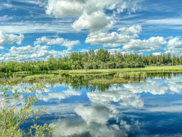 istock Alaska Lake With Cumulus Cloud Reflection 1379882836