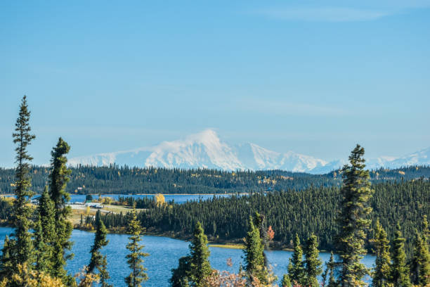 istock Alaska Lake in Fall with Mount Drum 1379885011