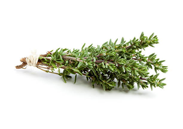 thyme twigs tied with twine Bunch of thyme twigs, tied together with a string. thyme stock pictures, royalty-free photos & images