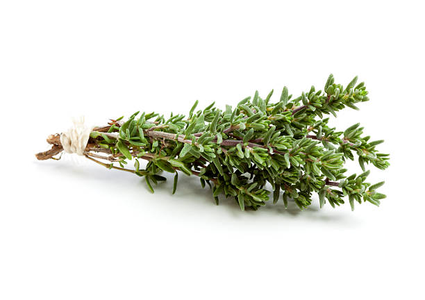 thyme twigs tied with twine Bunch of thyme twigs, tied together with a string. thyme branch stock pictures, royalty-free photos & images