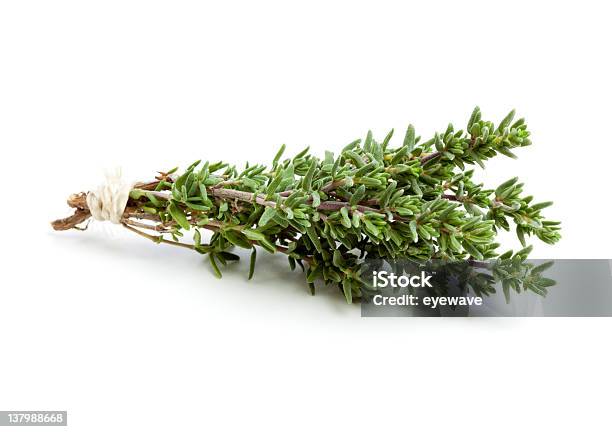 Thyme Twigs Tied With Twine Stock Photo - Download Image Now - Thyme, White Background, Bunch