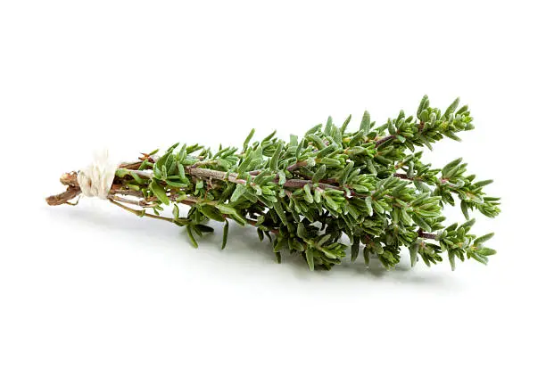 Bunch of thyme twigs, tied together with a string.
