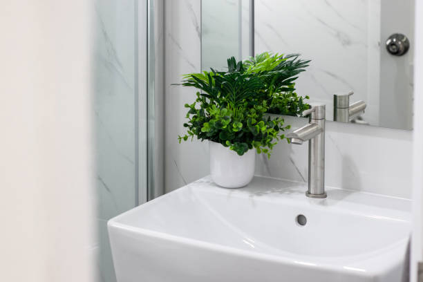 istock Sinks and plants in a clean white bathroom. 1379892760