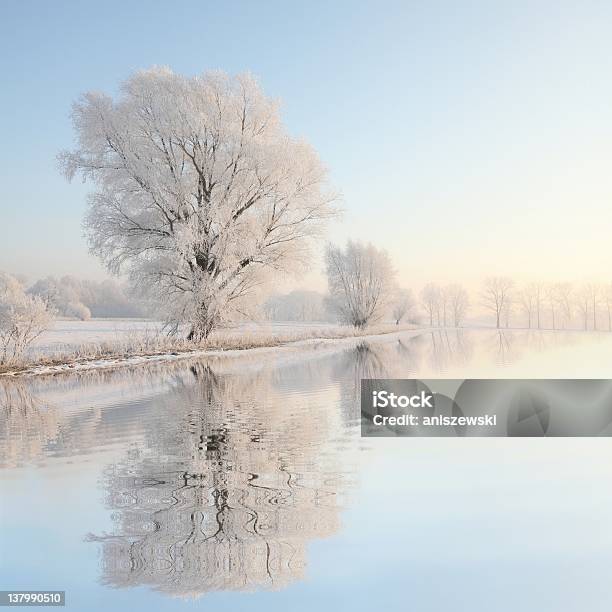 Inverno Paesaggio Dellalba - Fotografie stock e altre immagini di Neve - Neve, Inverno, Albero